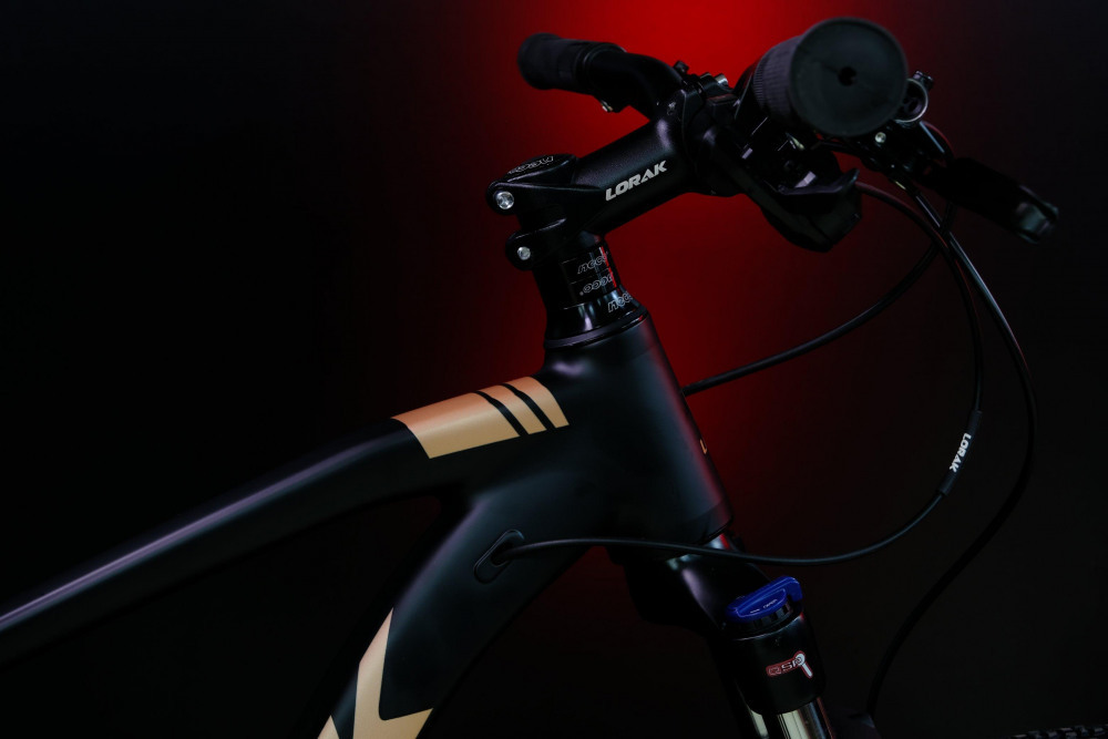 LORAK Sel 9300 Матовый Черный/Коричневый 20р (на рост 175-185)